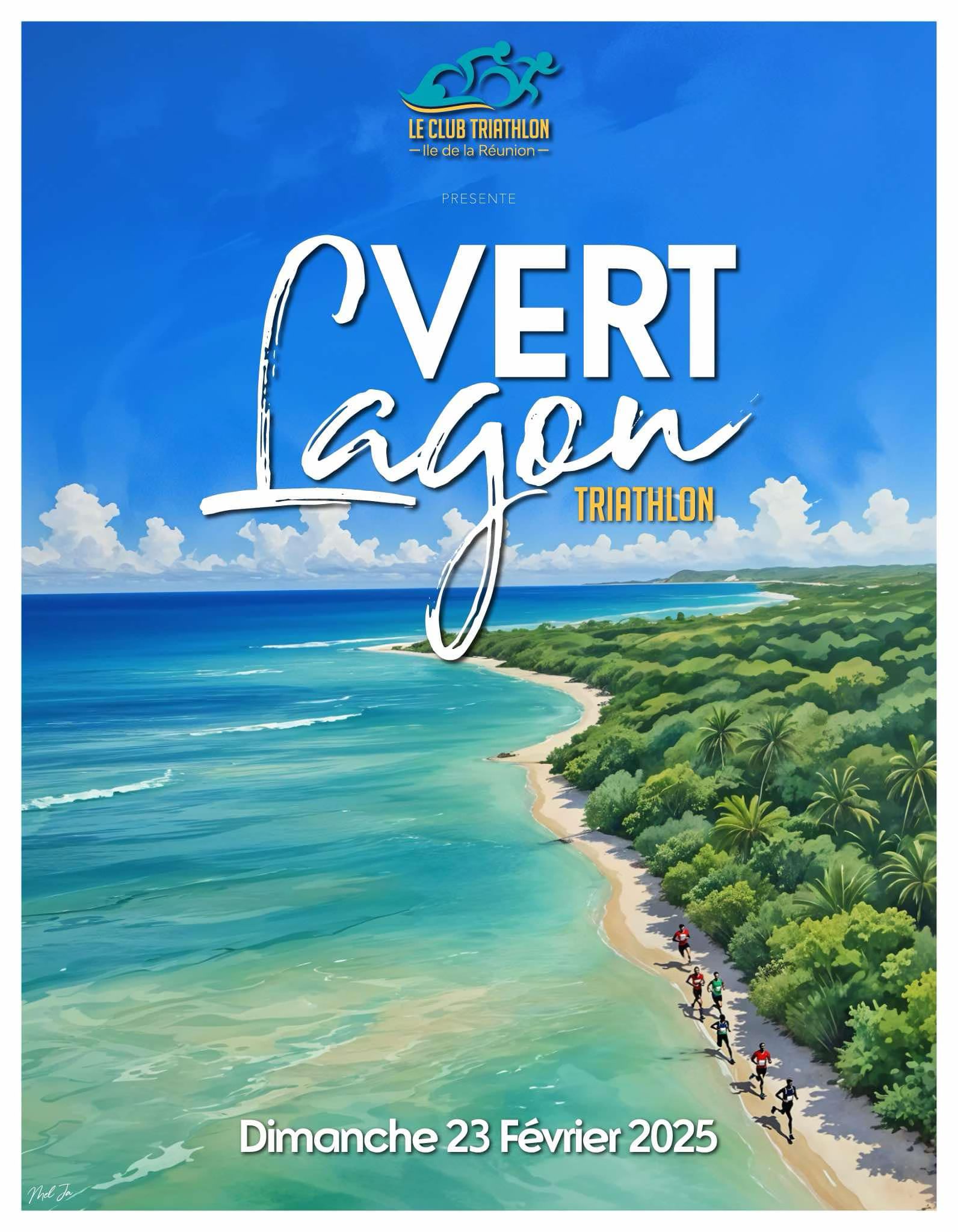 AFFICHE Triathlon VERT Lagon